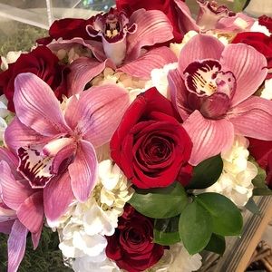 Meet your Posher, Allison